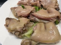 -丁老爷子苏香圆