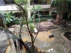 -麒麟中餐厅·经典粤菜·地道菜式老字号(广州长隆酒店)