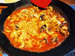 -红辣椒八爪鱼特色韩国料理