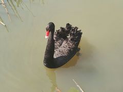 -长兴太湖图影湿地文化园