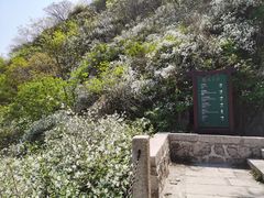 -北京凤凰岭
