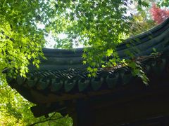 -秋霞圃