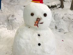 -哈尔滨热雪奇迹