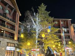 -中旅松花湖滑雪场