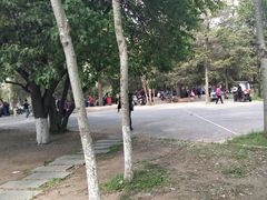 -万泉公园