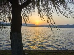 -柳莺湖上·湖景餐厅·江南菜(西湖店)