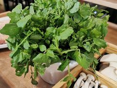-烹然四季椰子鸡火锅(团结湖总店)
