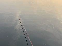 -幸福湖国际会议中心