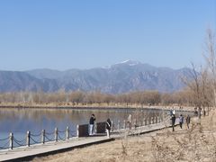 -野鸭湖国家湿地公园