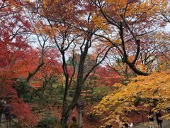 -常寂光寺