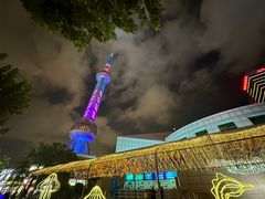 -东方明珠广播电视塔