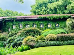 -中国茶叶博物馆(双峰馆区)