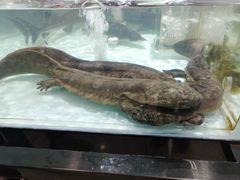 -兴龙广缘超市(奥体中心店)