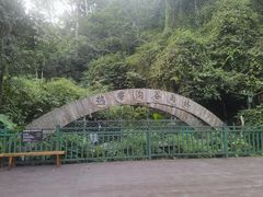 -西双版纳原始森林公园