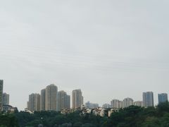 -重庆彩云湖湿地公园