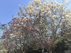 -陕西师范大学(雁塔校区)