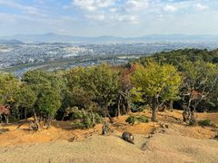 -岚山猴子公园