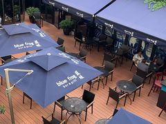 -bluefrog蓝蛙(水游城店)