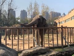 -南昌动物园