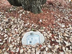 -徐家汇源景区-衡山公园