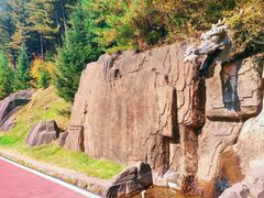-五女峰国家森林公园