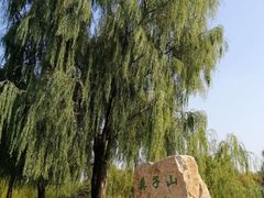 -莫子山公园