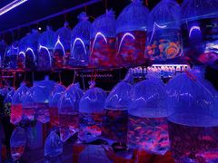 -华声天桥民俗文化园