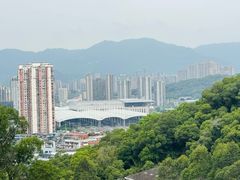 -金鸡山公园