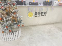 -舞蕾舞蹈(特长生校区)