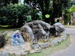 -云南勐巴娜西珍奇园