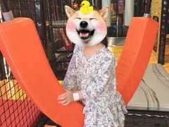 -嗨翻Hi-Fun竞技主题乐园·蹦床亲子生日轰趴(国光1937店)