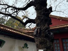 -昆明市金殿名胜区