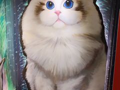 -猫腻·猫咖·撸猫馆(星光大道店)