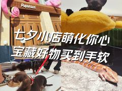 -帕帕拉兹宠物(亚洲旗舰店)