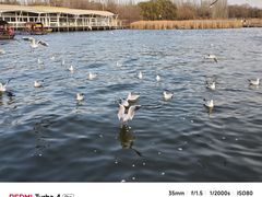 -包头南海湿地景区