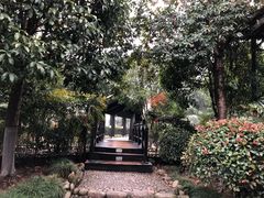 -三江森林温泉度假区