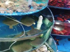 -同道蒸汽海鲜烧烤自助(刘庄夜市店)