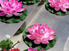 -三亚南山文化旅游区