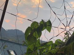 -马灯部落·西湖边的创意山景餐厅(虎跑动物园店)