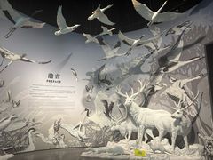 -中国湿地博物馆