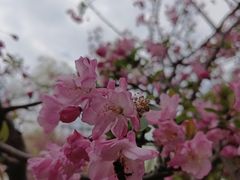 -苏州太湖国家湿地公园