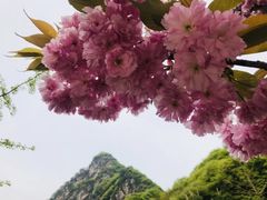 -少华山国家森林公园