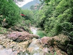 -南海湾森林生态园