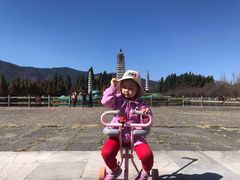 -云南民族村