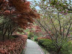 -四明山国家森林公园