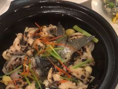 -酌宴府The China Club·广州万富希尔顿酒店(云城东路店)