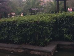 -咸宁万豪温泉谷度假区