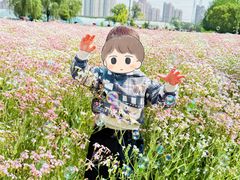 -菊园百果园