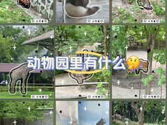 -扬州市茱萸湾风景区