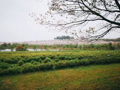 -凤凰沟景区